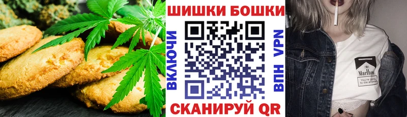 Купить закладки  Беслан  Canna-Cookies конопля 