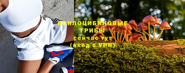 ешки Балабаново