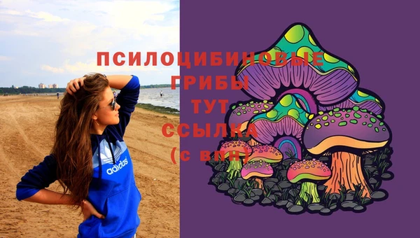 скорость Балахна