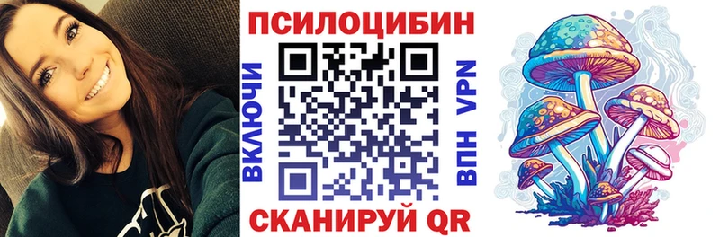 Галлюциногенные грибы Psilocybine cubensis  Купить закладки  Беслан 